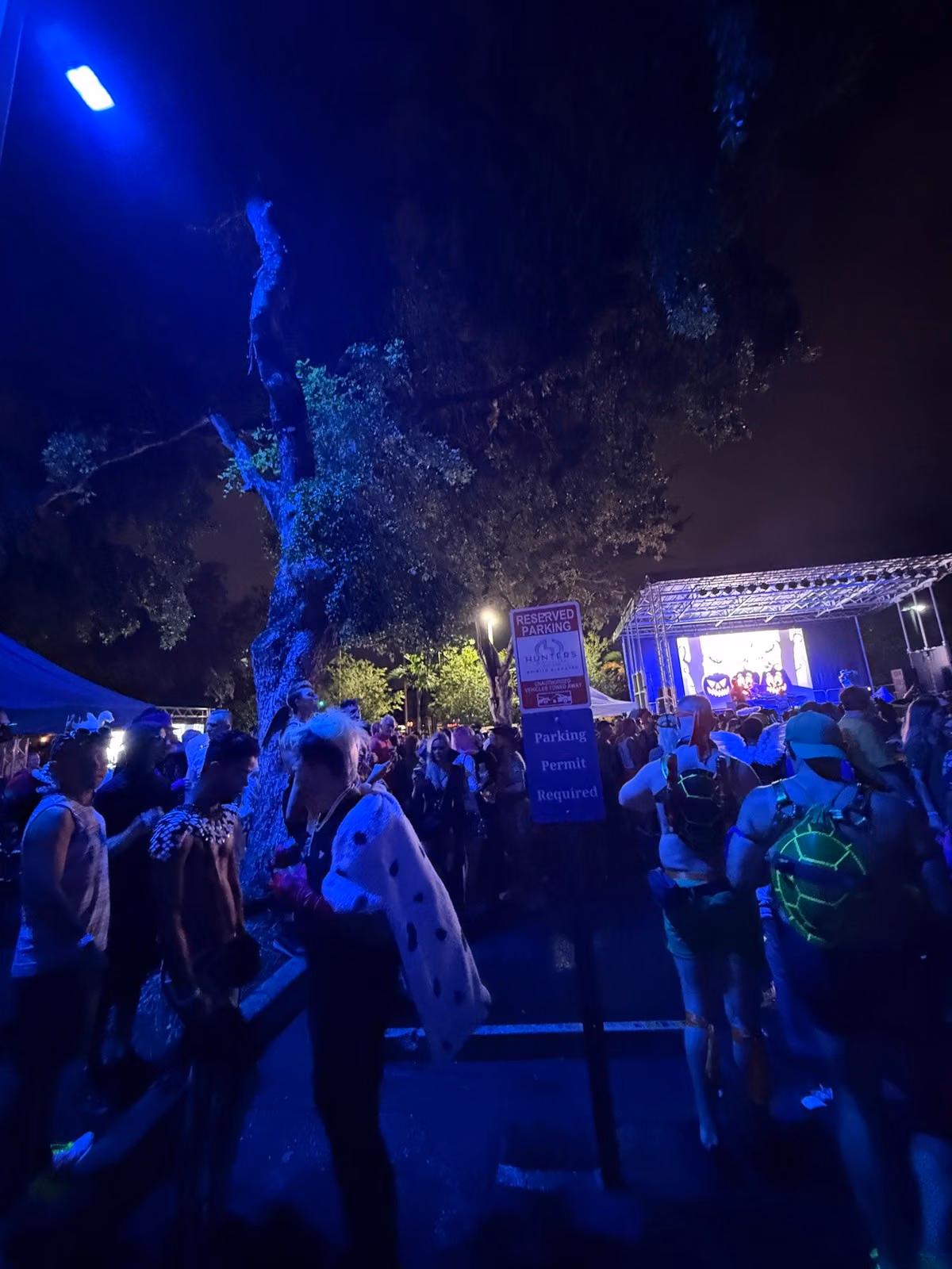 Costumed festivalgoers gather beneath blue lights by an outdoor stage on Wilton Drive.