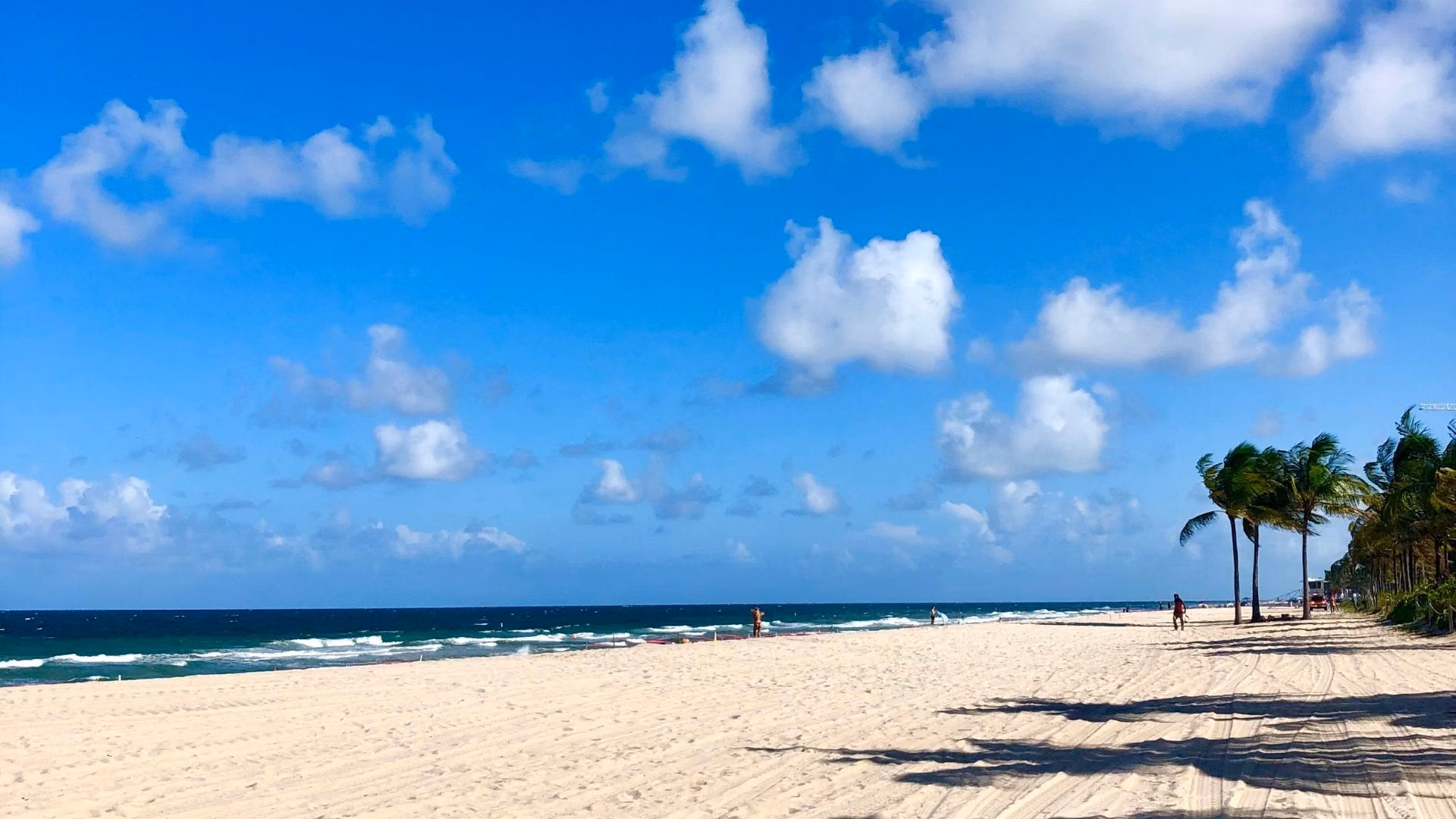 Open sand, blue water and palms along Fort Lauderdale beach