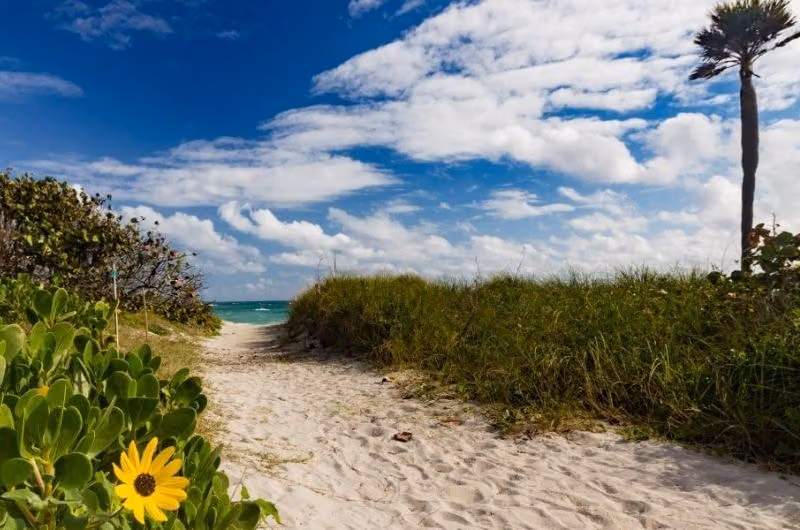 Dr. Von D. Mizell-Eula Johnson State Park