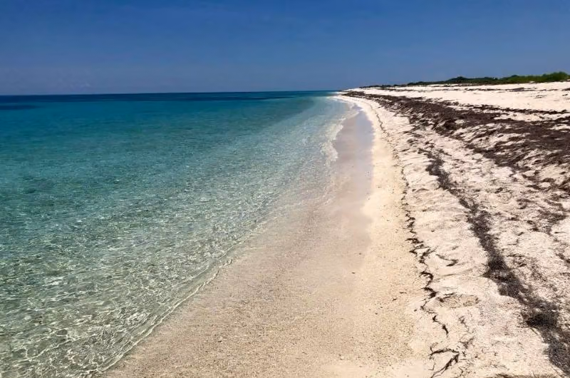 Loggerhead Park Beach