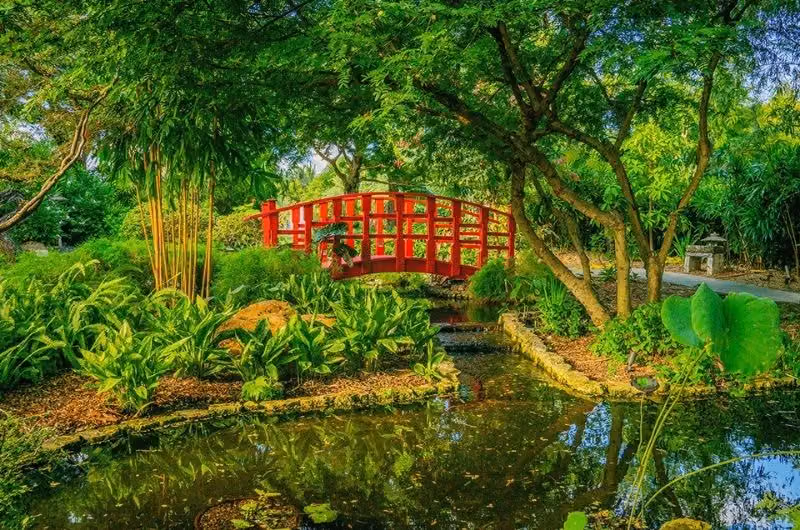 Miami Beach Botanical Garden