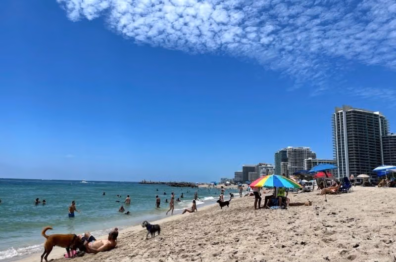 Haulover Beach Dog Park