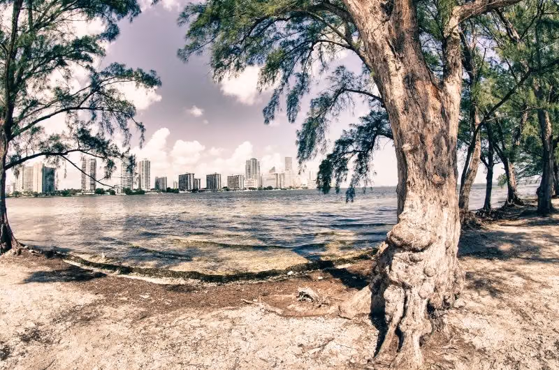 Hobie Island Park