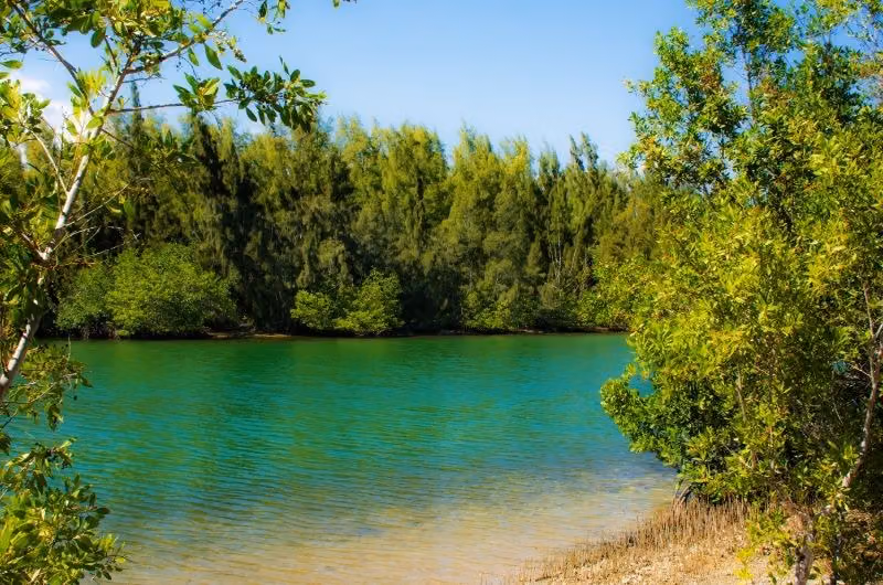Oleta River State Park Beach