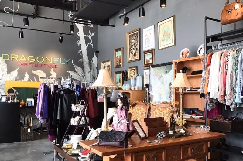Dragonfly Thrift Boutique