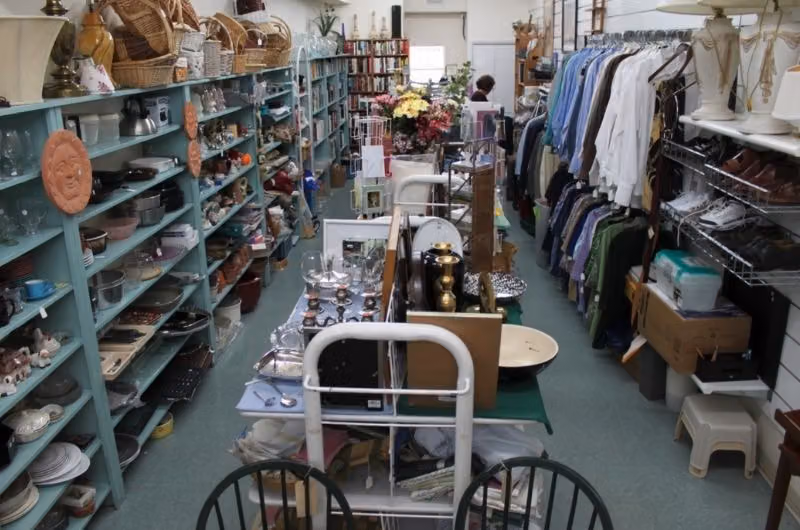 This & That Shop