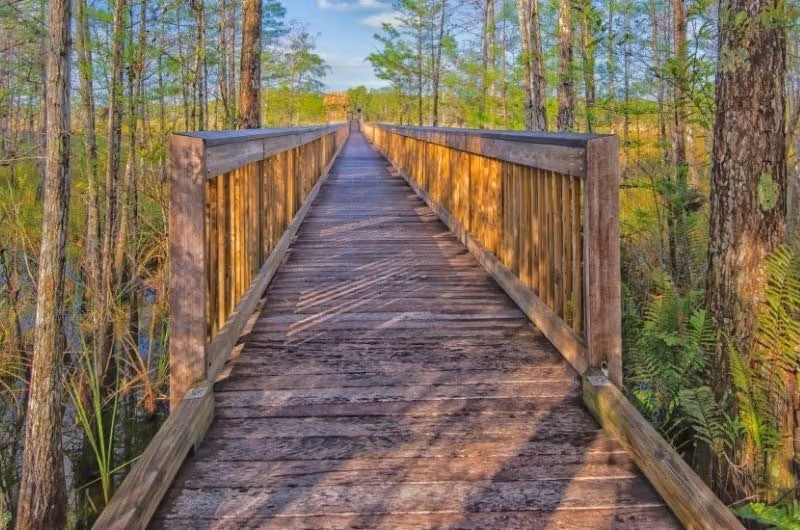 Grassy Waters Preserve