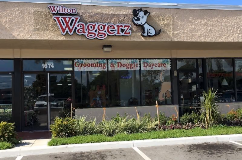 Wilton Waggerz