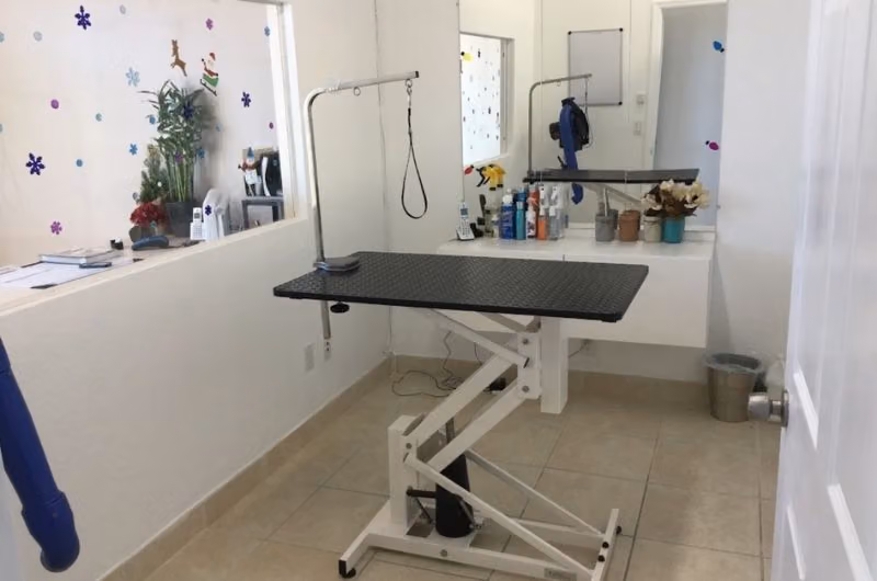 Nick’s Grooming Studio