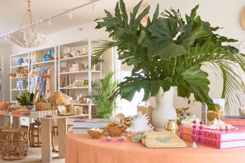 Aerin Lauder