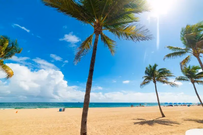 Go to the Beach
