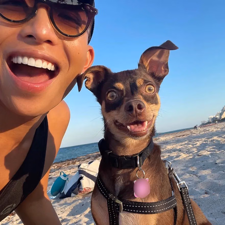 A person with their dog on the beach
