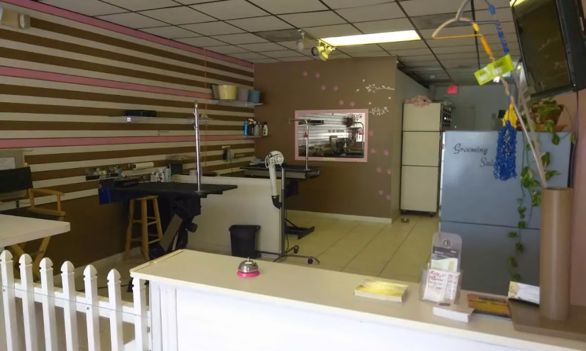 Reception counter at Ruby Clippers Pet Grooming